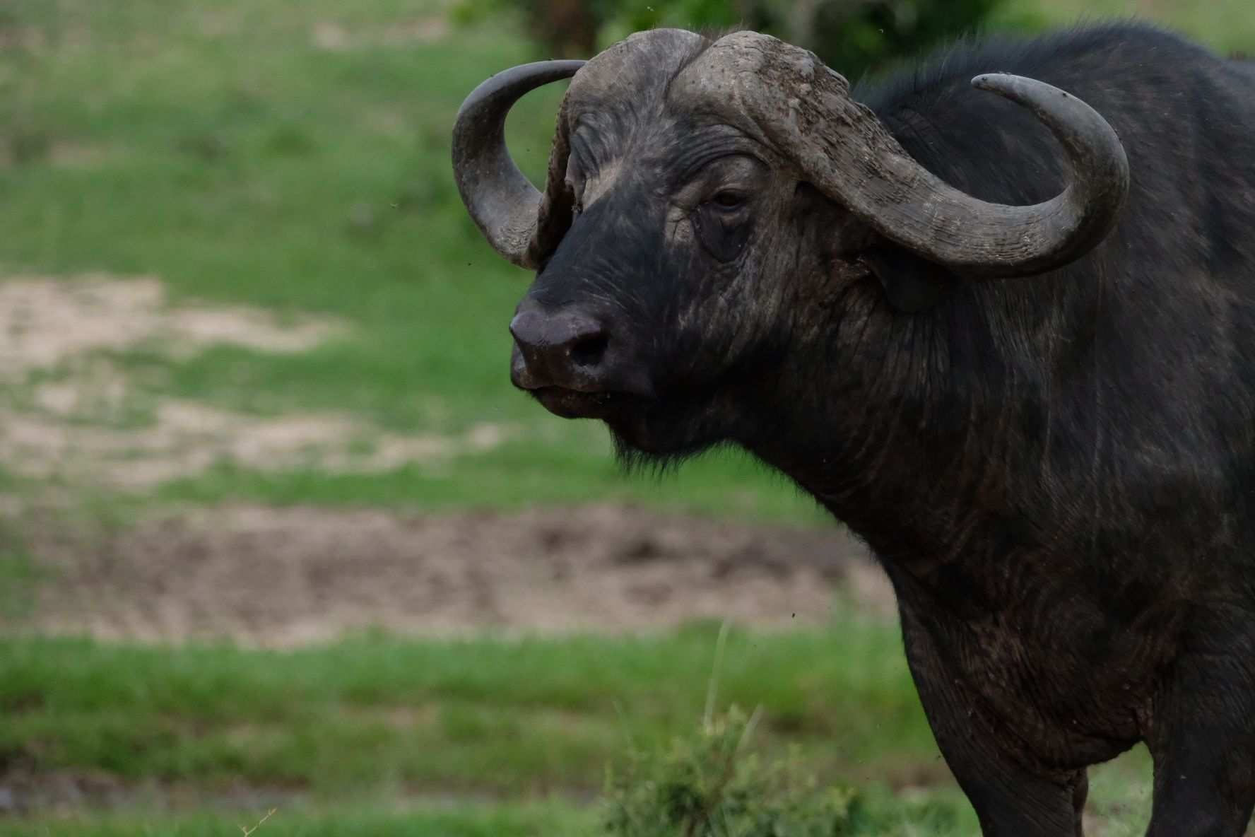 South Africa
