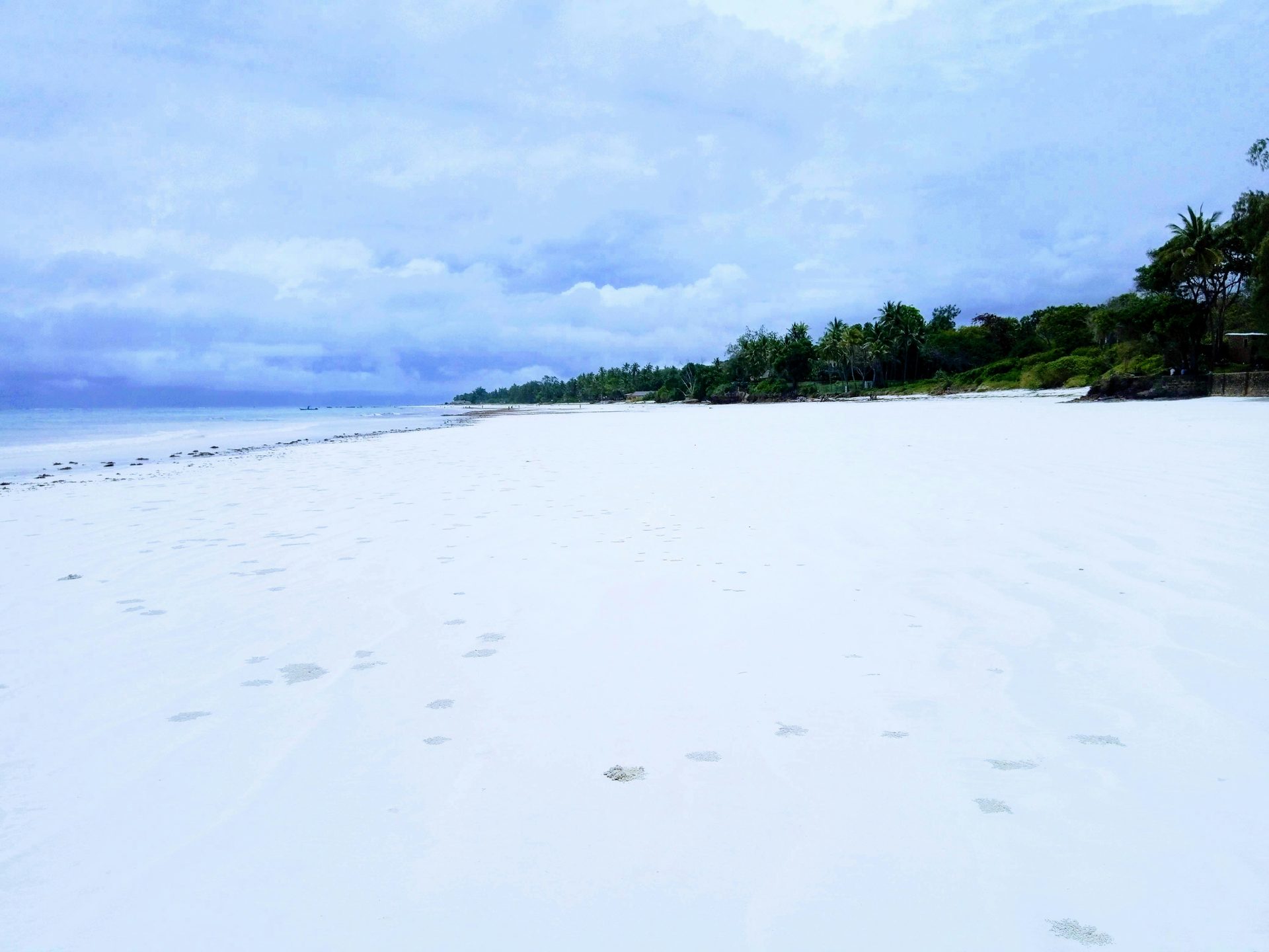 Diani & Mombasa
